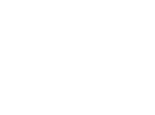 The Fooltype